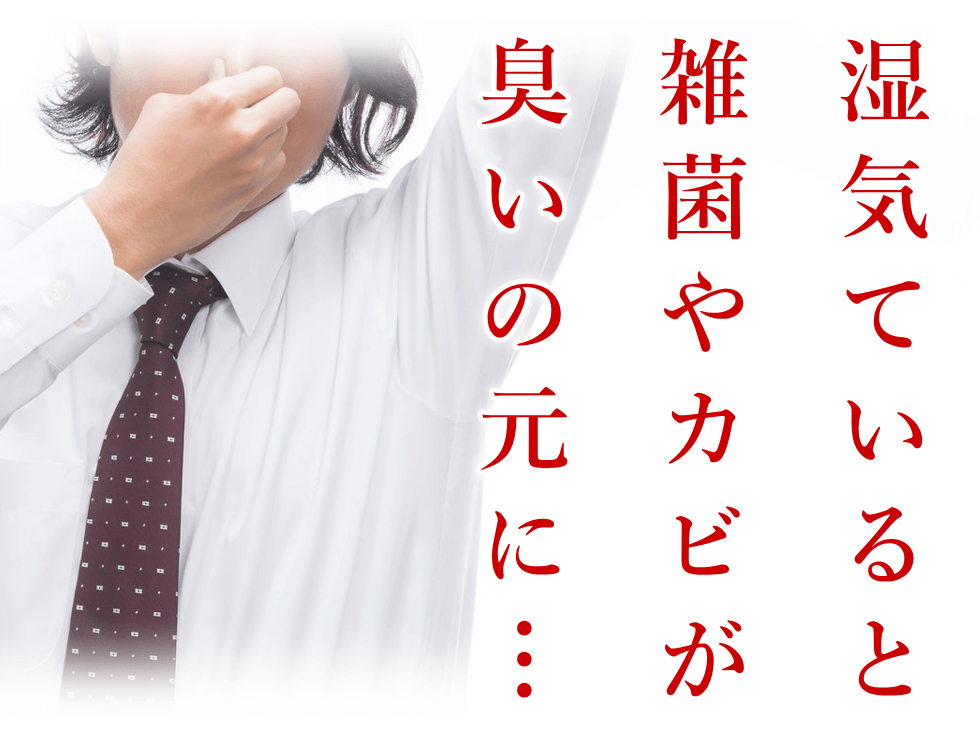 雑菌やカビが増殖