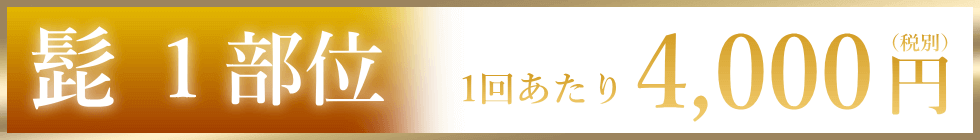 1回あたり2,000円（税別）