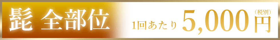 1回あたり5,000円（税別）