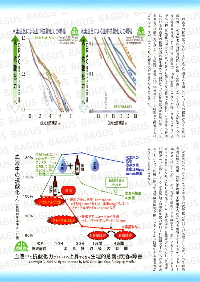 血液中の抗酸化力